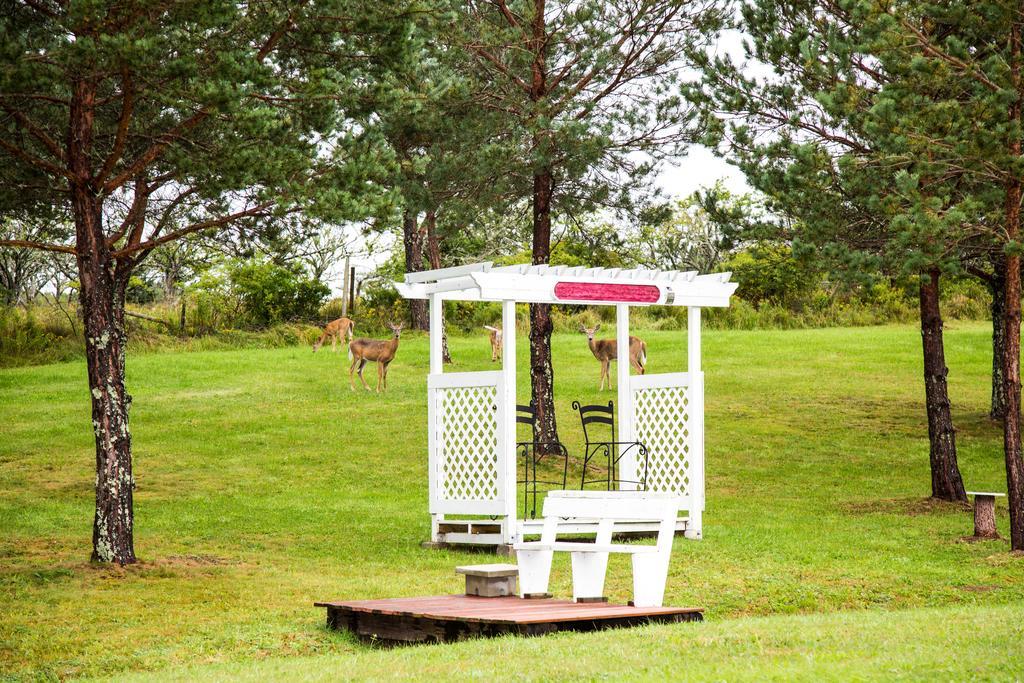 Wheelhouse Motel Lunenburg Esterno foto